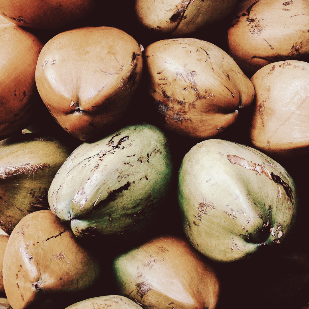 Harvested coconuts stacked together, showing varied green and brown husks.